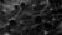 LPE-image-050325.jpg