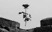 logos-community-rose-from-stone.png