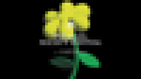 logos-psf-may.png logos-psf-may.png