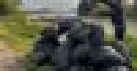 rubbish_pile_1-liberland-circles-cleanup.jpg